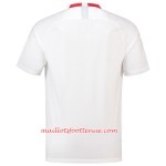 Maillot/Tenue Pologne Domicile Coupe du monde 2018